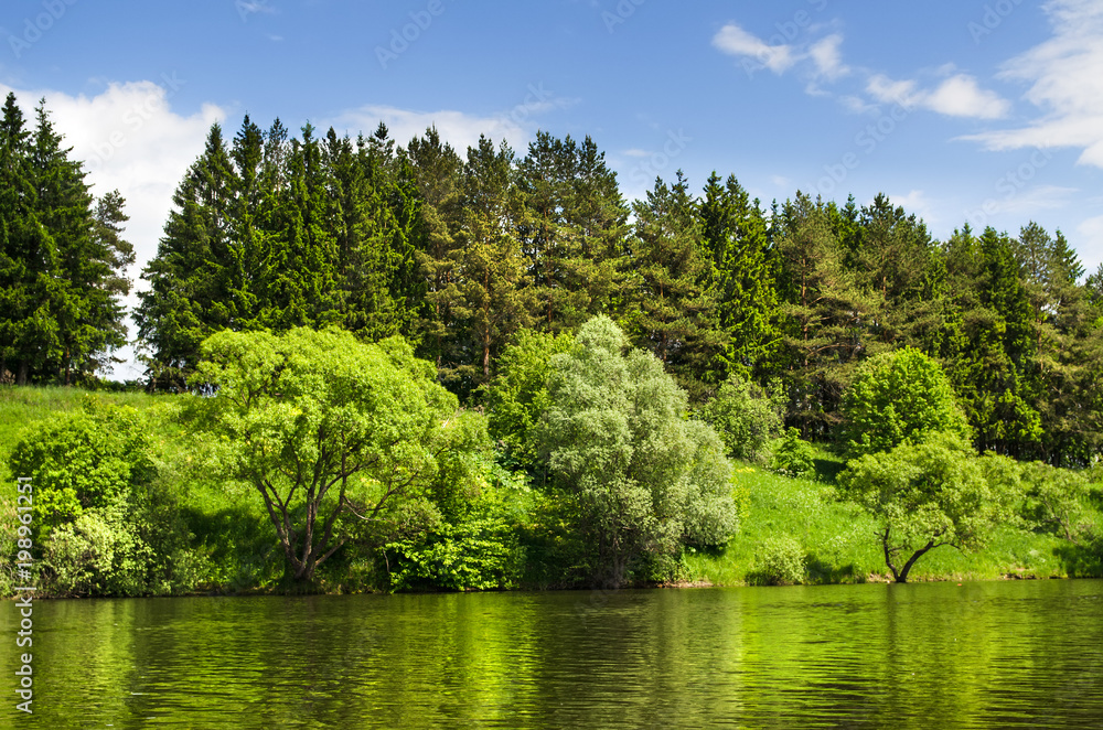 The lake is surrounded by trees along the banks The lake is surrounded by trees along the banks