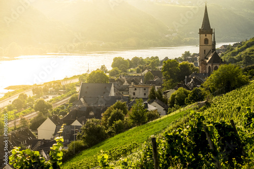 Bild auf Leinwand Vineyards around the village of Lorch in Rhine river