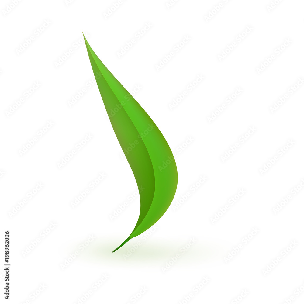 Green paper fresh plant leaf isolated on white background - botanical clipart for Earth saving, environmental protection and bio concept. Cartoon vector illustration.