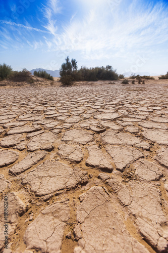Dry cracked soil. Wadi Araba desert. Jordan landscape