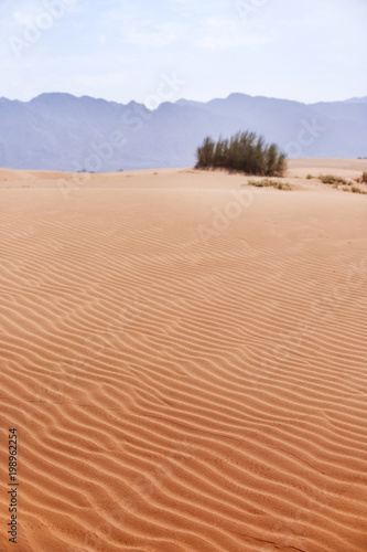 Sand Dune. Wadi Araba desert. Jordan landscape