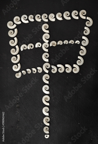 chinese symbol made of shells photo