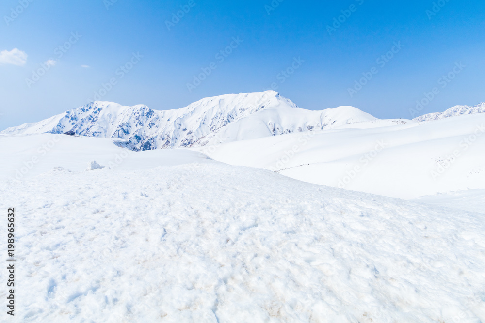 Tateyama Kurobe Alpine Route, the snow mountains wall with blue sky background in Toyama Prefecture, Japan.