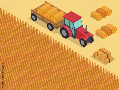 Isometric low poly vector farm elements background