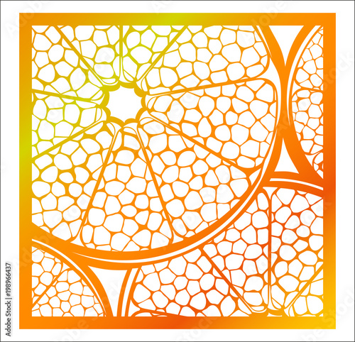 Laser cutting square panel. Openwork natural pattern with section of citrus fruit. Vector design template for paper cutting, wood, metal and woodcut.