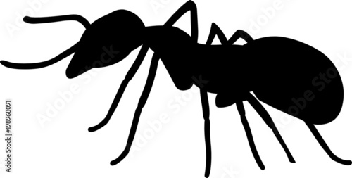 Ant Pest