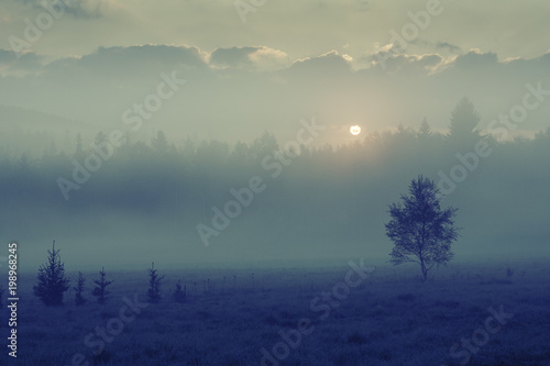 beautiful morning mists