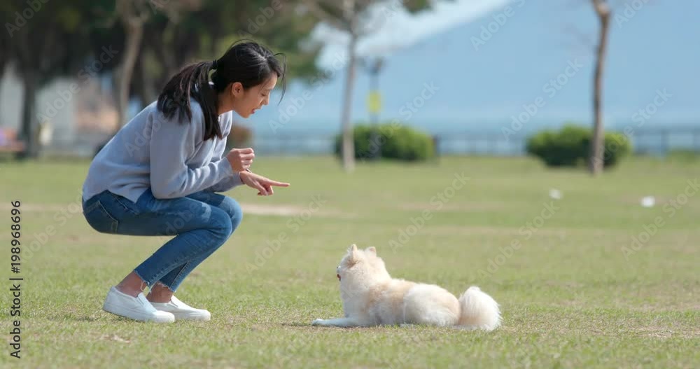 Woman training with her dog with snack at park Woman training with her dog with snack at park