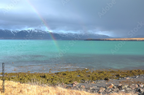 A rainbow above the rocky and sandy beach of Videy island near Reykjavik, partly covered in seaweed, with the mountains in the background