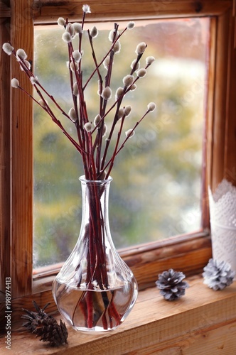 Willow in vase on a wooden window