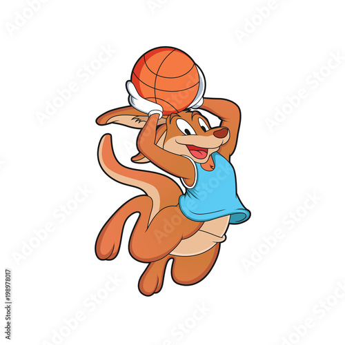 kangaroos playing basketball