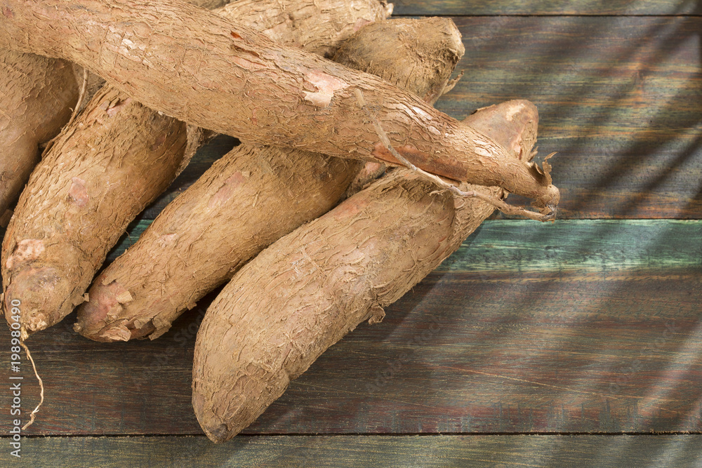 Cassava raw tuber - Manihot esculenta Cassava raw tuber - Manihot esculenta