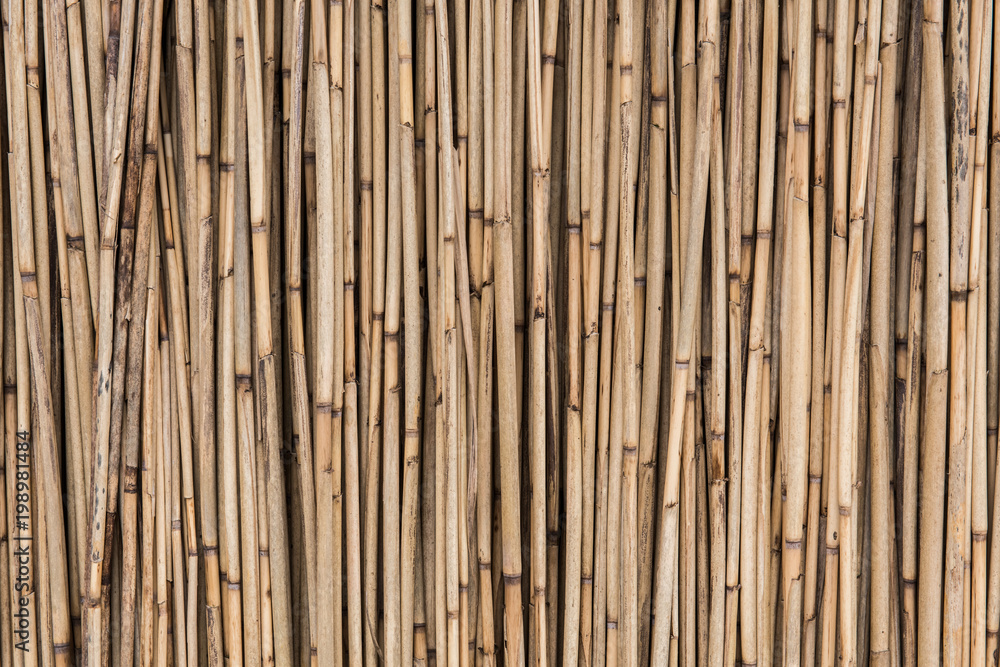 Old dry straw background, bamboo wall texture. Eco natural background concept Old dry straw background, bamboo wall texture. Eco natural background concept