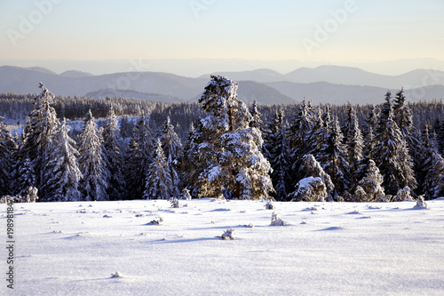 Winteridyll im Schwarzwald photo