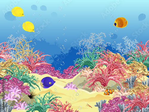Fototapeta Naklejka Na Ścianę i Meble -  Sea underwater world with corals, fish, sponges and bubbles. Realistic vector illustration.