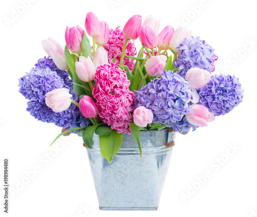 Hyacinth fresh flowers