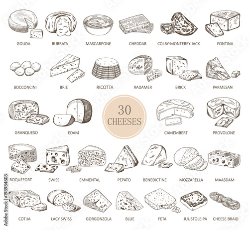 Set of isolated sketches of cheese types photo