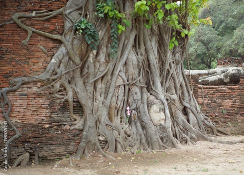 Cultural history in Ayutthaya