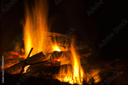 Fire on camping, firewood