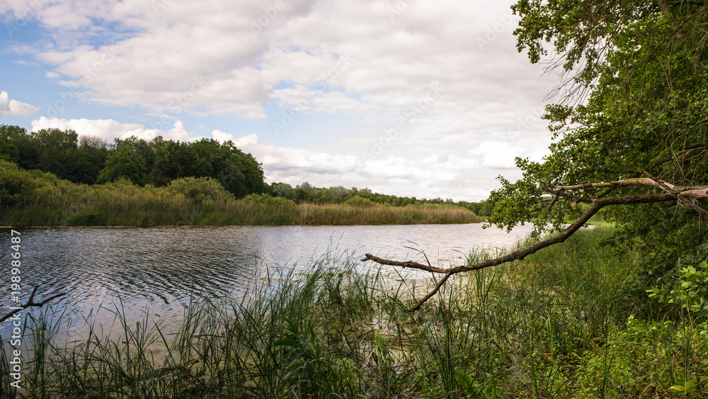 Summer landscape of the Kolomak River in the village of Sosnivka near Poltava. Ukraine