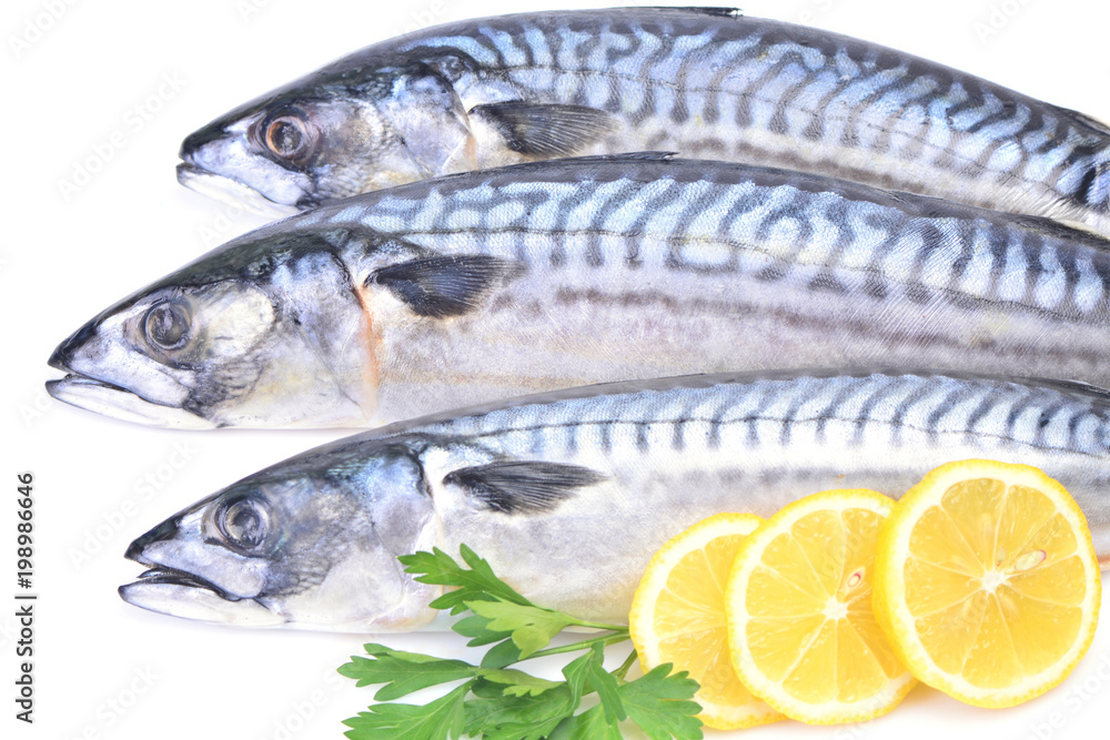 Fish mackerel Fish mackerel