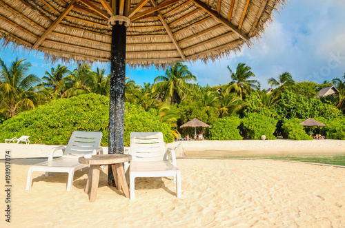 Fototapeta Naklejka Na Ścianę i Meble -  Sunbeds and palm tree umbrellas on a background of exotic palm trees, Maldives