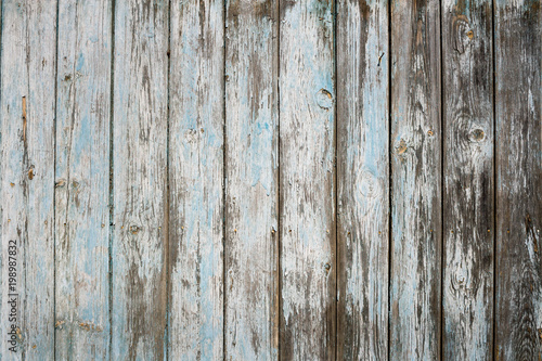 Weathered painted blue peeling wooden fence.
