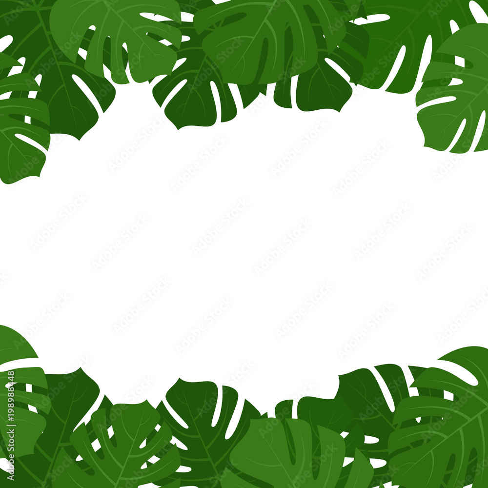 Fototapeta premium Tropical monstera leaves frame