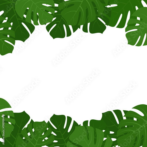 Tropical monstera leaves frame