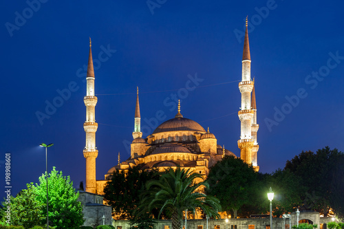 Blue Mosque at Night in Istanbul