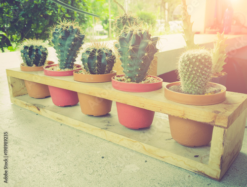 Cactus in pot on concrete bar,vintage color toned image