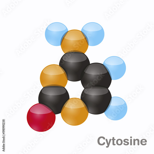 Cytosine, C. Pyrimidine nucleobase molecule. Base present in DNA. 3D vector illustration on white background