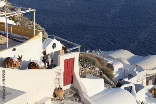 Vista desde la ladera de la isla. Santorini. Grecia 