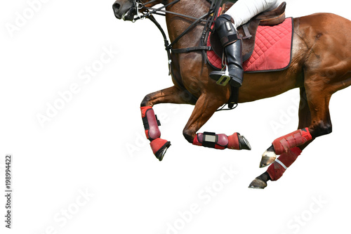 Isolated image of Horse polo Running in polo © Hola53