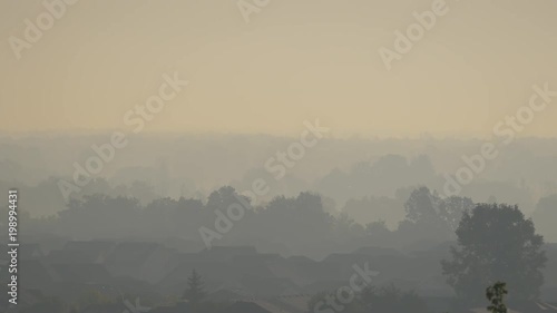 Wallpaper Mural Houses and trees seen through mist Torontodigital.ca
