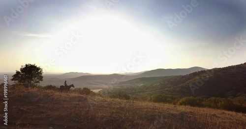Man ride horse on field