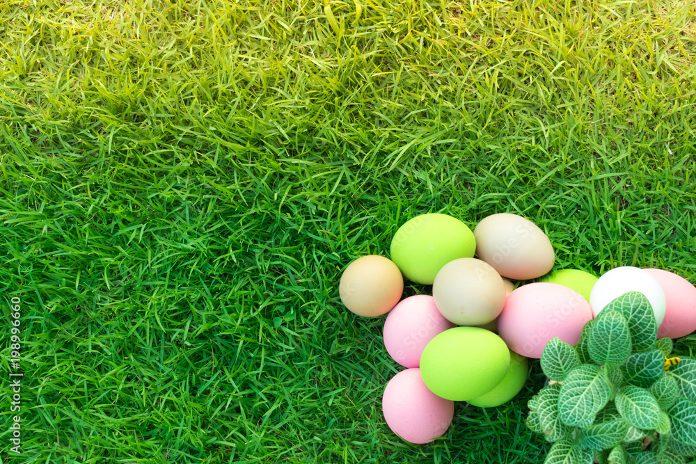 Easter eggs on green grass in sunny days