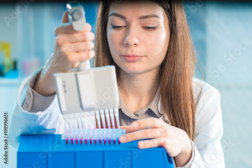 Microbiological laboratory scientist woman with multi channel pipette going DNA test