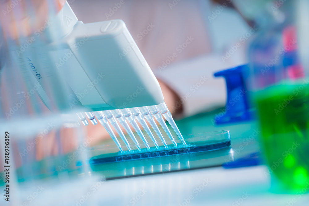 student woman with multi pipette and other PCR items in microbiological / genetic laboratory student woman with multi pipette and other PCR items in microbiological / genetic laboratory