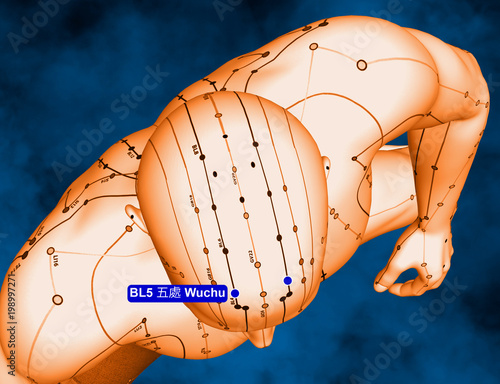 Acupuncture Point BL5 Wuchu, 3D Illustration, Blue Background photo