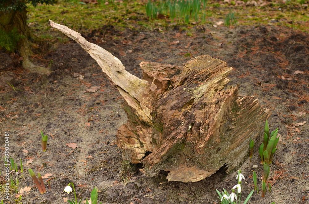 Obraz premium Natur 02.04.2018