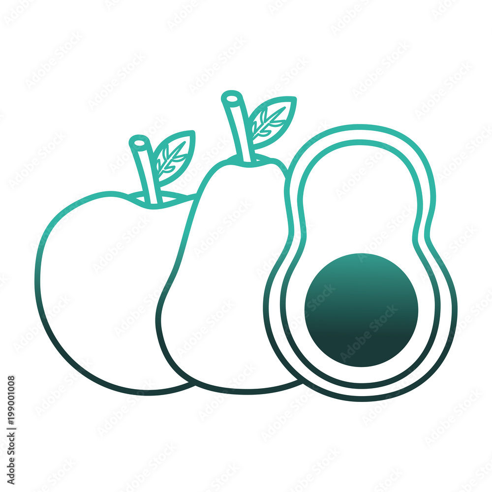 fruits and vegetables group vector illustration design fruits and vegetables group vector illustration design