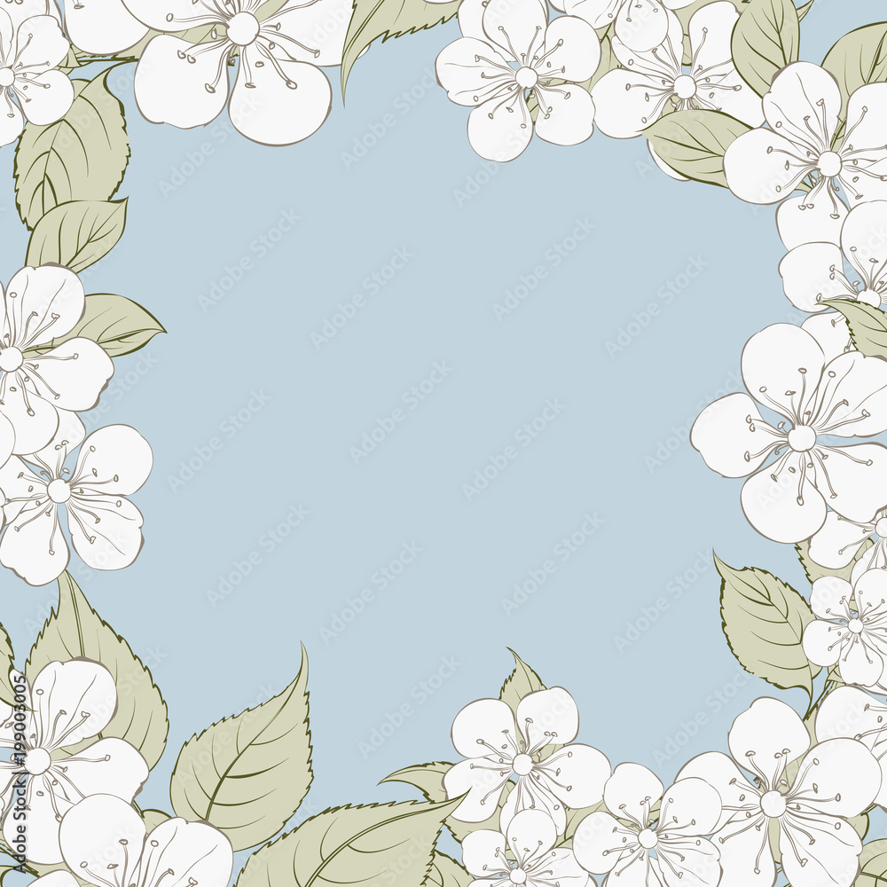 Blooming sakura rectangle frame around text place over blue background. Vector illustration.
