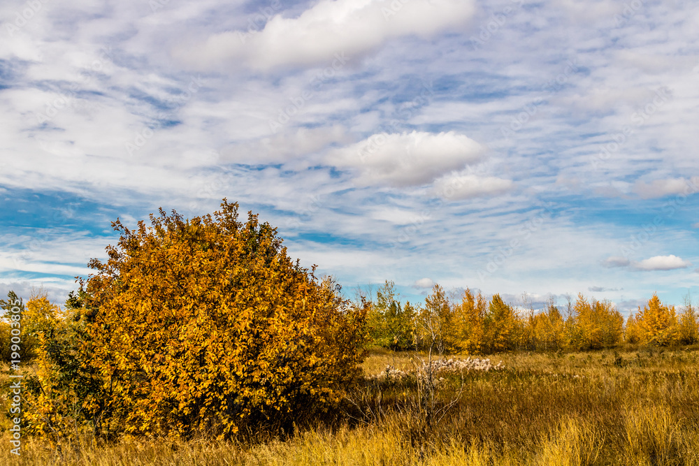 Fall in all it's colourful glory. Calgary, Alberta, Canada Fall in all it's colourful glory. Calgary, Alberta, Canada