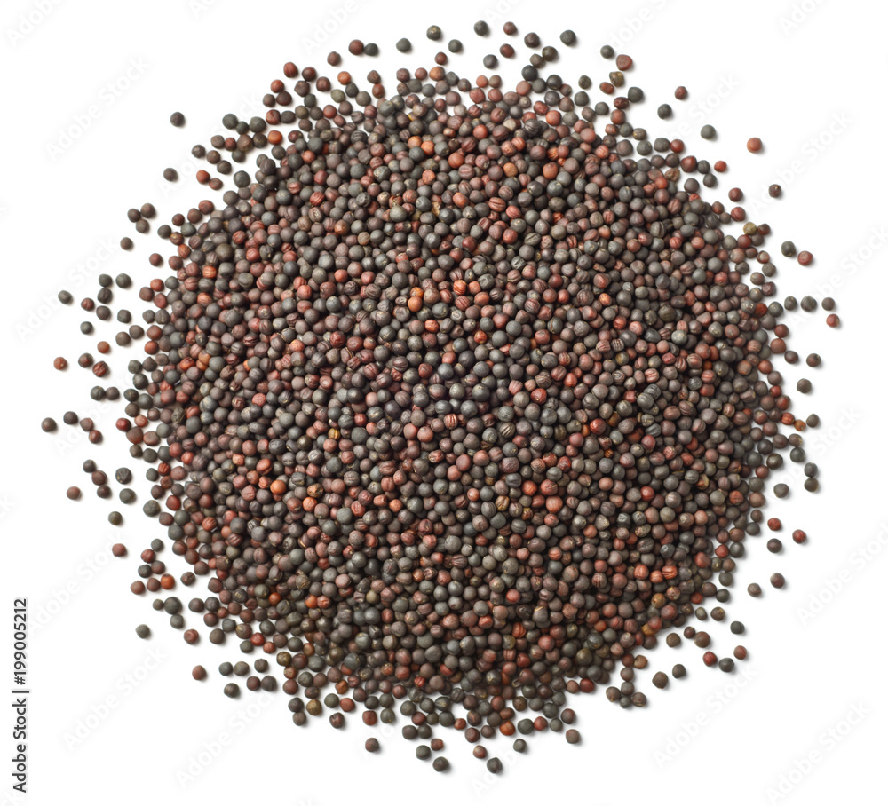 dried canola seeds isolated on white, top view dried canola seeds isolated on white, top view
