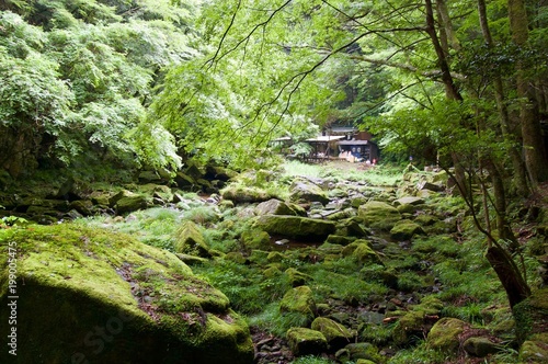 Akame 48 Waterfalls: Mystic scenery with giant trees & huge moss covered rock formations, untouched nature, lush green vegetation, cascading waterfalls & natural pools in rural Japan near Osaka