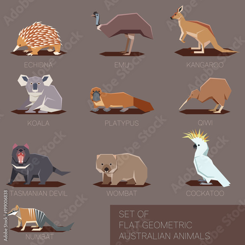 Set of flat geometric species of Australia