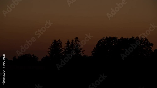 Timelaspe of dusk and trees photo