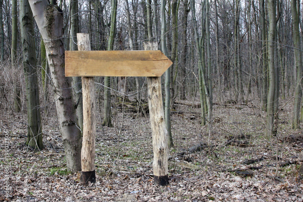 Wooden arrow sign in forest Wooden arrow sign in forest