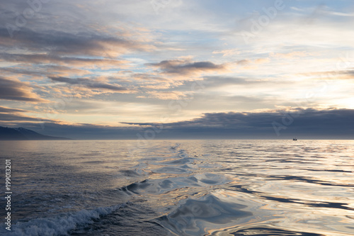 Whalewatching in der Skj  lfandibucht bei H  sav  k   Island